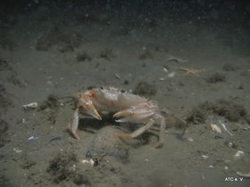 IMG_7818.jpg